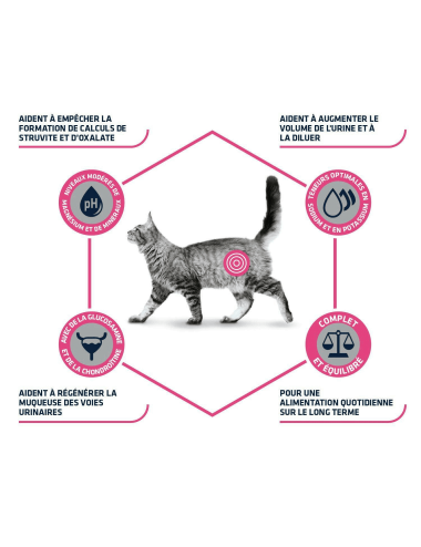 VETERINARY DIET - chat urinary - 3 Kg